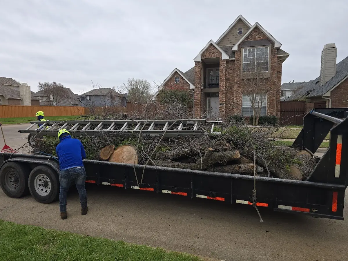 Expert Tree Fertilization with proper safety equipment in Crowheart